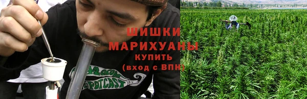 марки nbome Гусь-Хрустальный