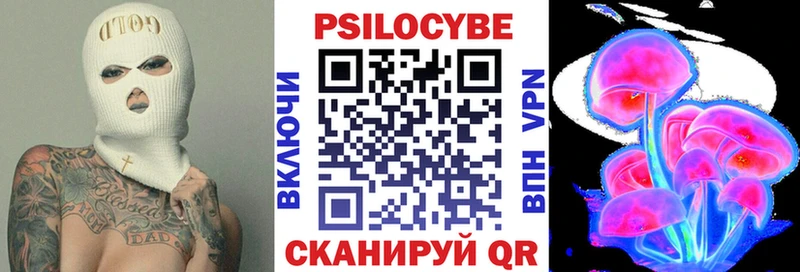 Псилоцибиновые грибы Cubensis где купить наркотик Данков